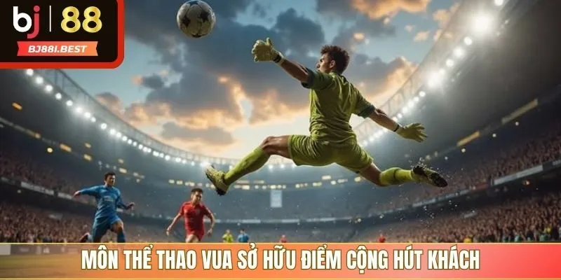 Môn thể thao vua sở hữu điểm cộng hút khách