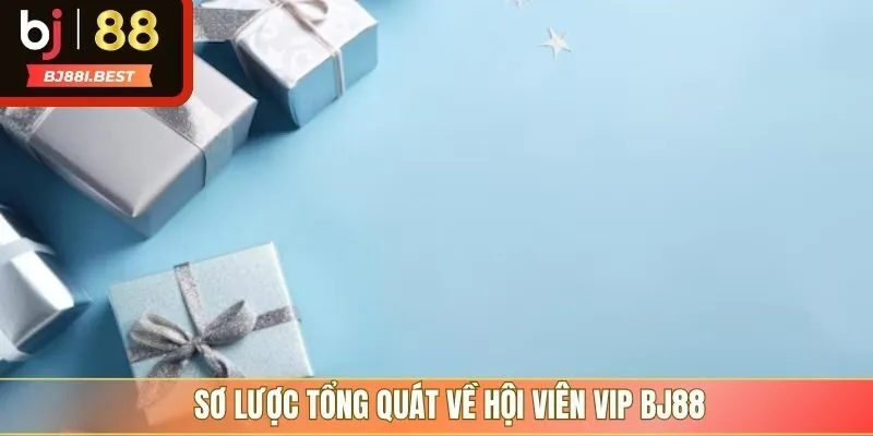 Sơ lược tổng quát về hội viên VIP BJ88