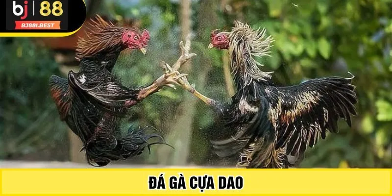 da-ga-cua-dao