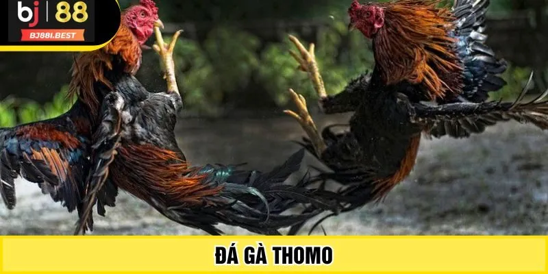 da-ga-thomo