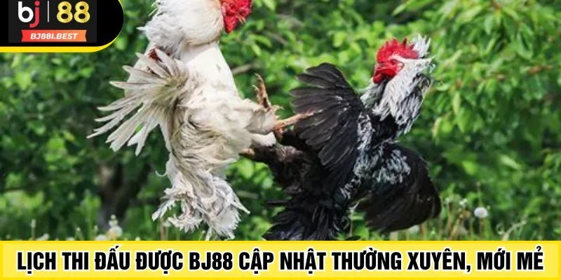 Lịch thi đấu được BJ88 cập nhật thường xuyên, mới mẻ
