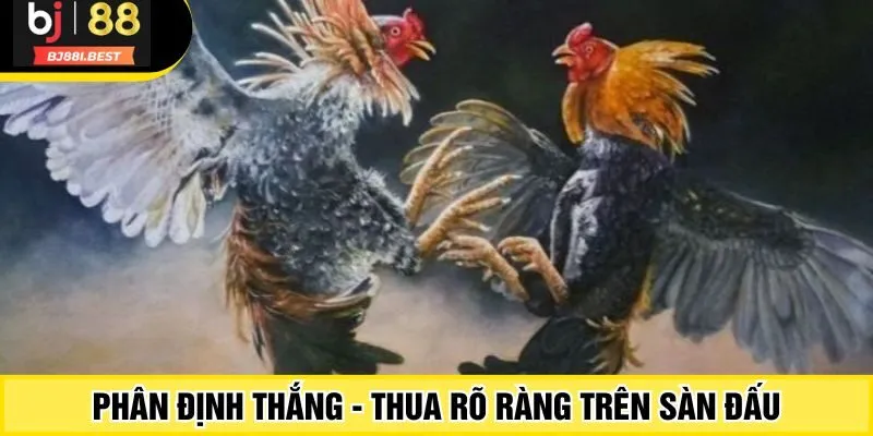 Phân định thắng - thua rõ ràng trên sàn đấu