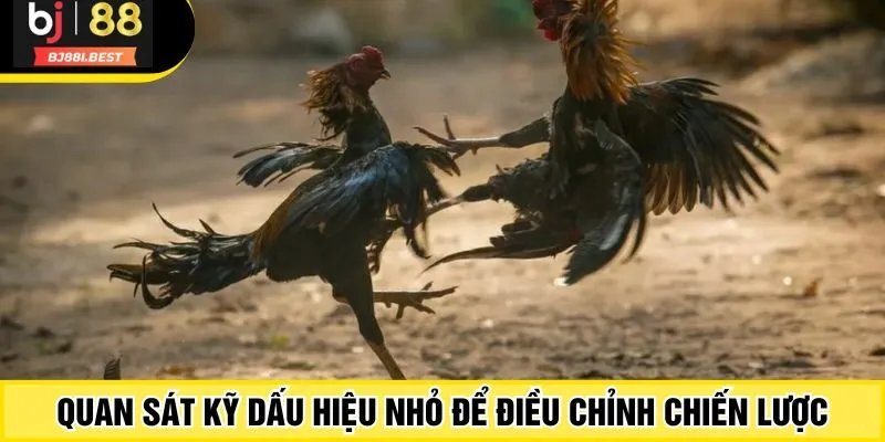 Quan sát kỹ dấu hiệu nhỏ để điều chỉnh chiến lược