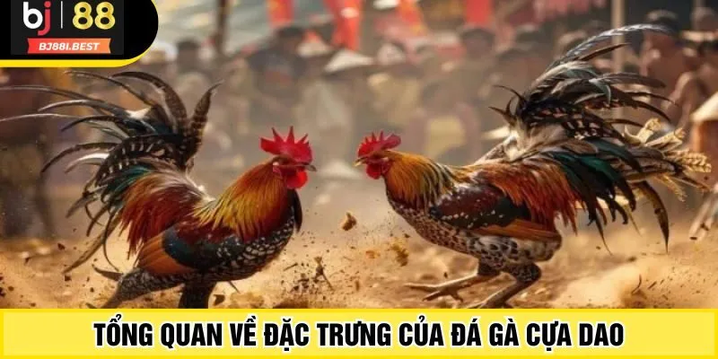 Tổng quan về đặc trưng của đá gà cựa dao
